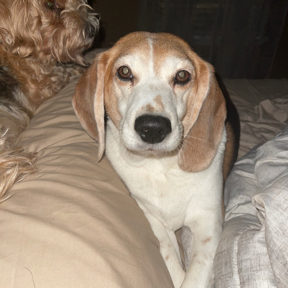 Meet your Posher, Randy